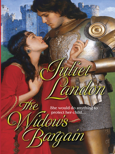 Cover image for book The Widow's Bargain