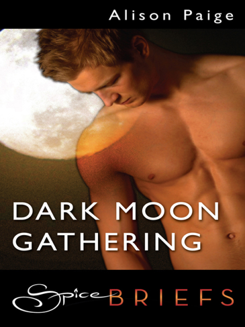 Cover image for book Dark Moon Gathering