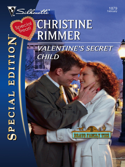 Cover image for book Valentine's Secret Child