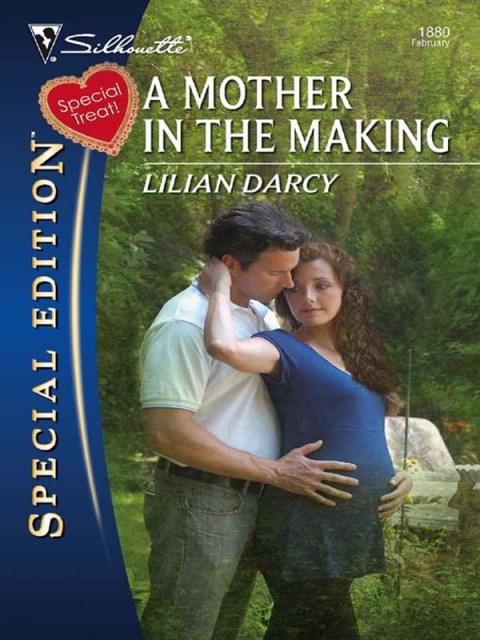 Cover image for book A Mother in the Making