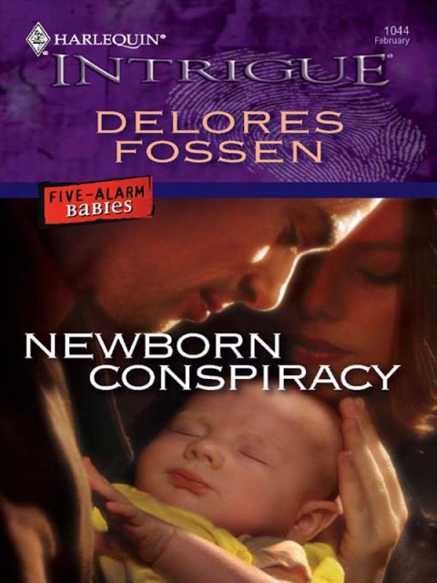Cover image for book Newborn Conspiracy