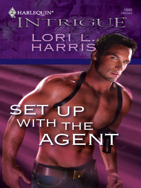 Cover image for book Set Up with the Agent