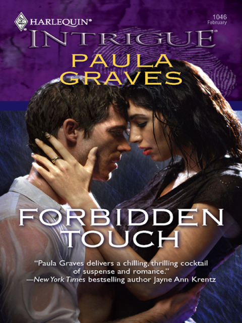 Cover image for book Forbidden Touch