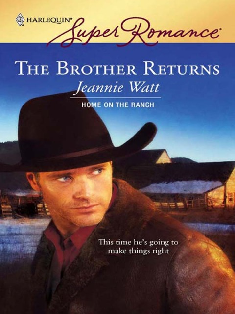 Cover image for book The Brother Returns