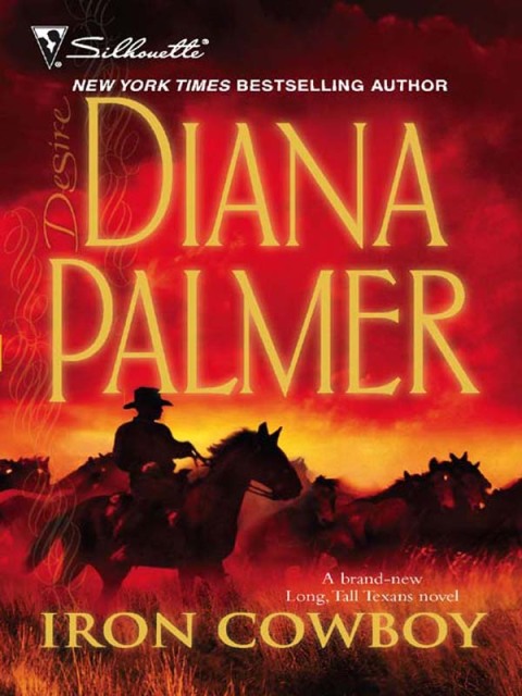 Cover image for book Iron Cowboy