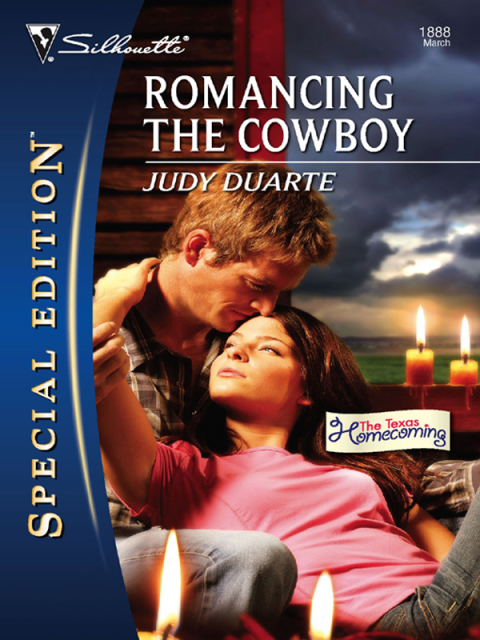 Cover image for book Romancing the Cowboy