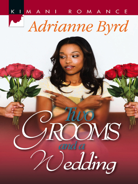 Cover image for book Two Grooms and a Wedding