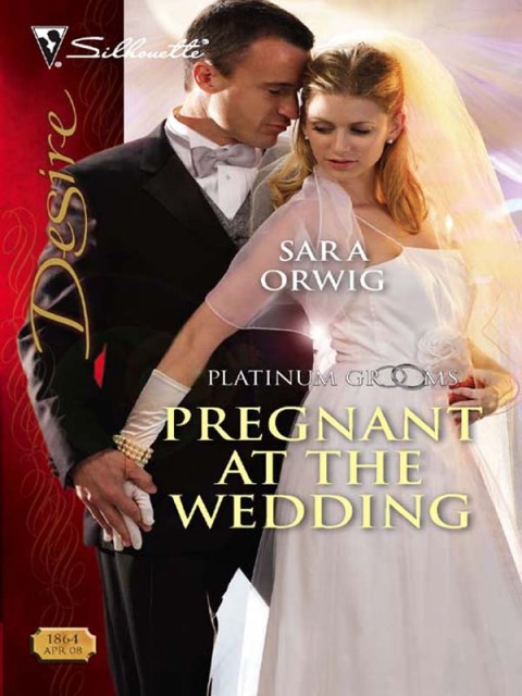 Cover image for book Pregnant at the Wedding