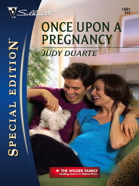 Cover image for book Once Upon a Pregnancy
