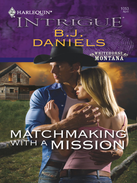 Cover image for book Matchmaking with a Mission