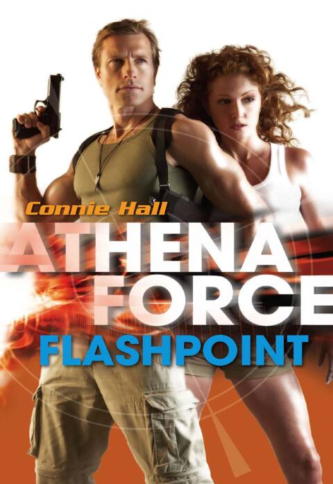 Cover image for book Flashpoint