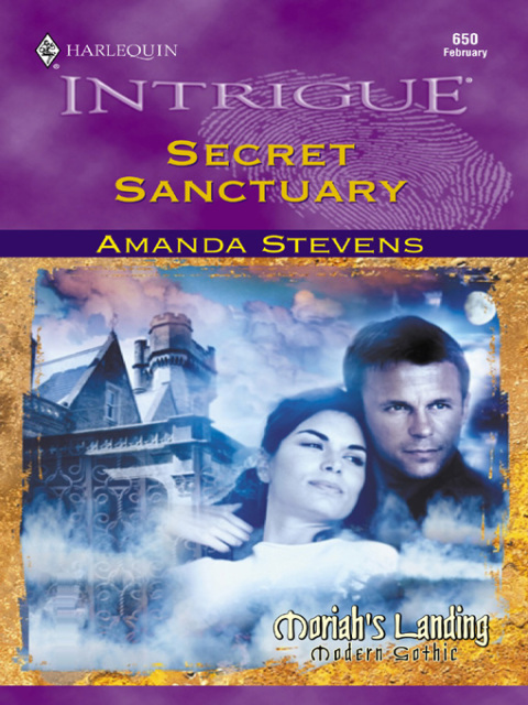 Cover image for book Secret Sanctuary