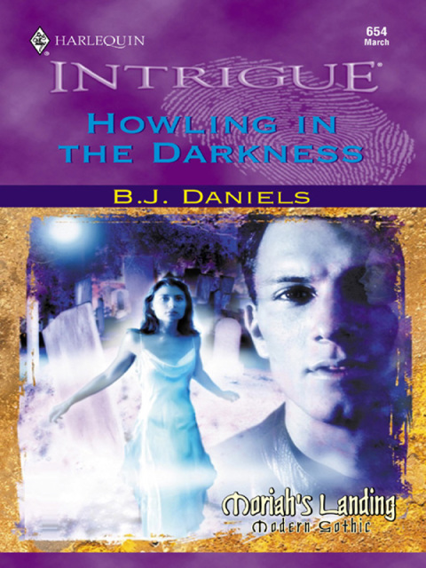 Cover image for book Howling in the Darkness