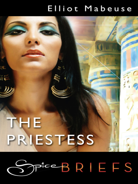 Cover image for book The Priestess