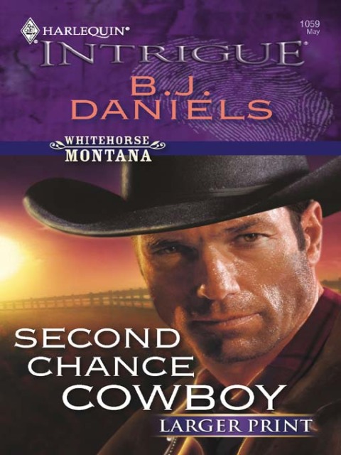 Cover image for book Second Chance Cowboy