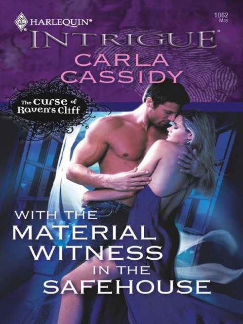 Cover image for book With the Material Witness in the Safehouse