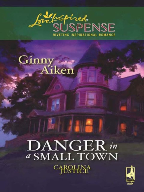 Cover image for book Danger in a Small Town