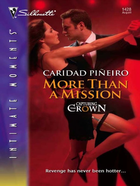 Cover image for book More Than a Mission
