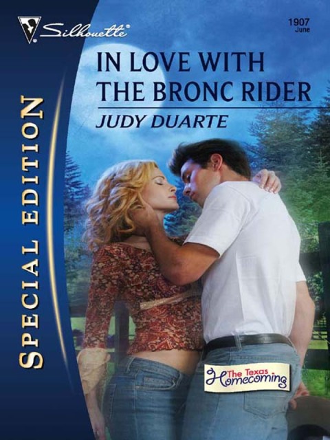 Cover image for book In Love with the Bronc Rider