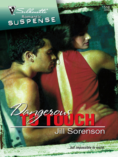 Cover image for book Dangerous to Touch