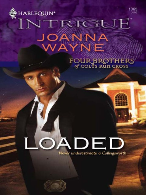 Cover image for book Loaded