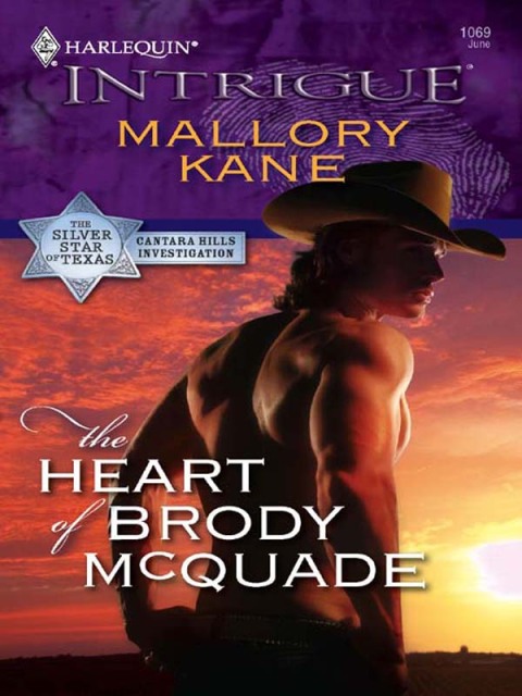 Cover image for book The Heart of Brody McQuade