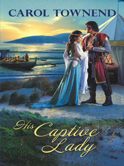 Cover image for book His Captive Lady