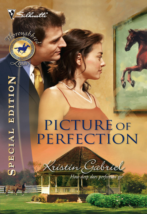 Cover image for book Picture of Perfection