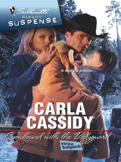 Cover image for book Snowbound with the Bodyguard