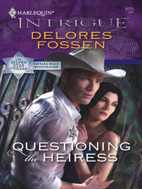Cover image for book Questioning the Heiress