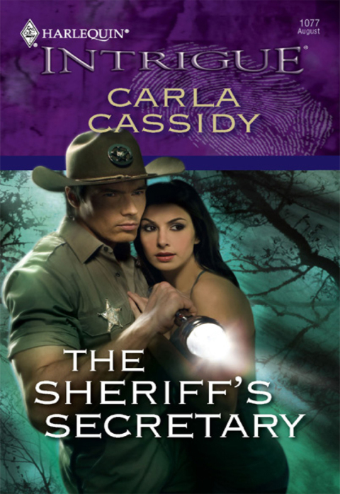 Cover image for book The Sheriff's Secretary