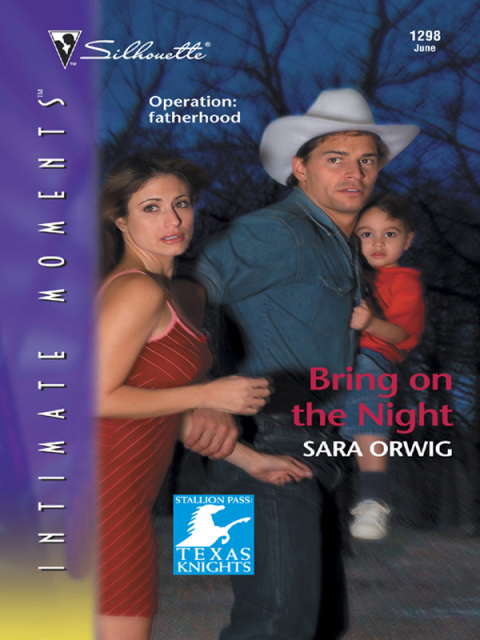 Cover image for book Bring on the Night