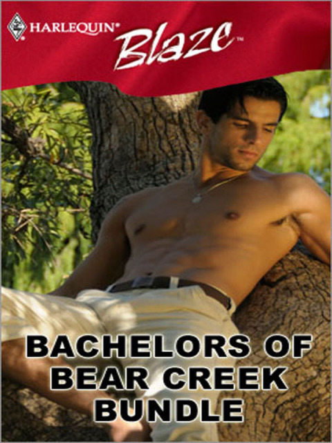 Cover image for book Bachelors of Bear Creek Bundle