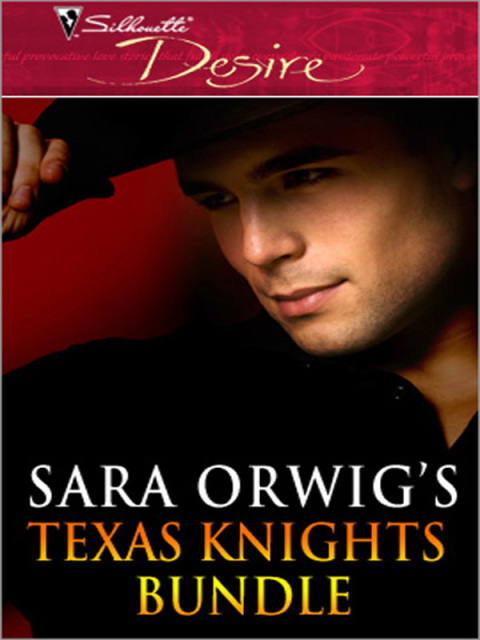 Cover image for book Texas Knights Bundle