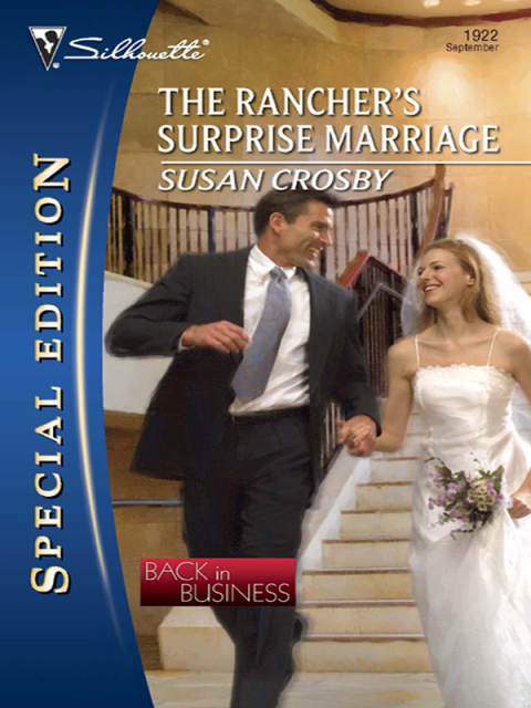 Cover image for book The Rancher's Surprise Marriage