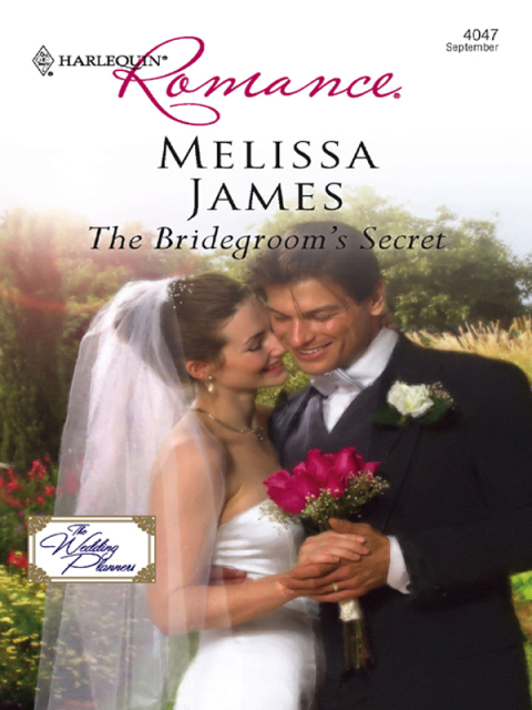 Cover image for book The Bridegroom's Secret