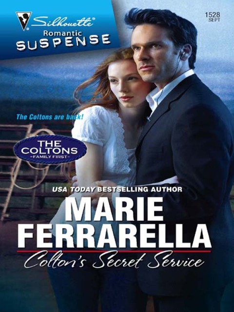 Cover image for book Colton's Secret Service