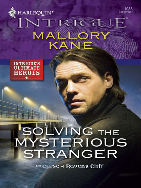 Cover image for book Solving the Mysterious Stranger