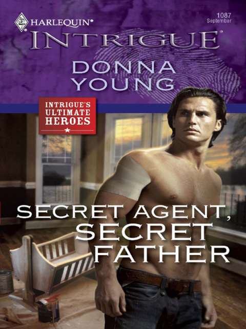 Cover image for book Secret Agent, Secret Father