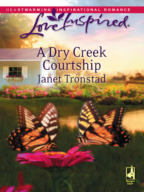 Cover image for book A Dry Creek Courtship