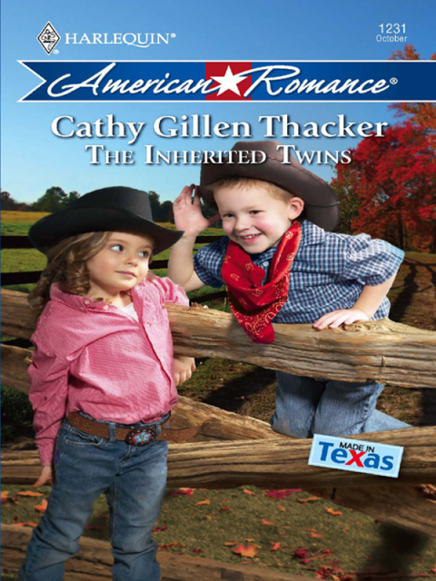 Cover image for book The Inherited Twins