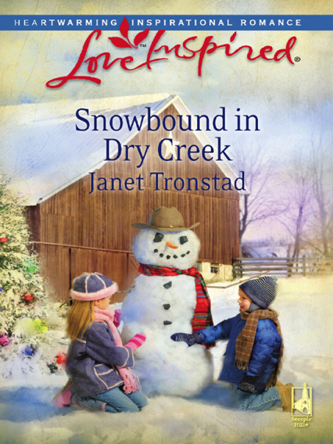 Cover image for book Snowbound in Dry Creek