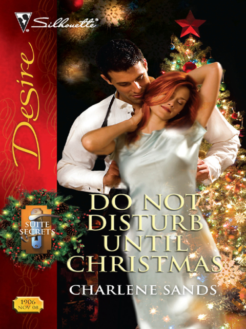 Cover image for book Do Not Disturb Until Christmas