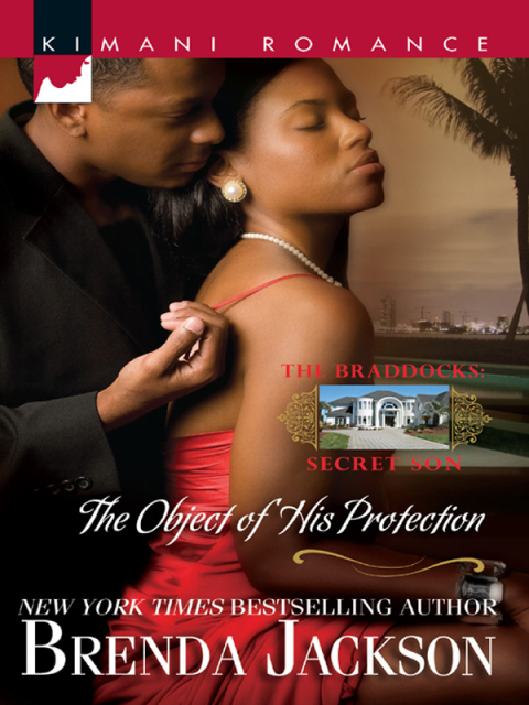 Cover image for book The Object of His Protection