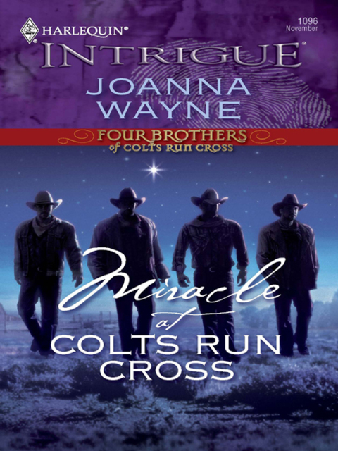 Cover image for book Miracle at Colts Run Cross