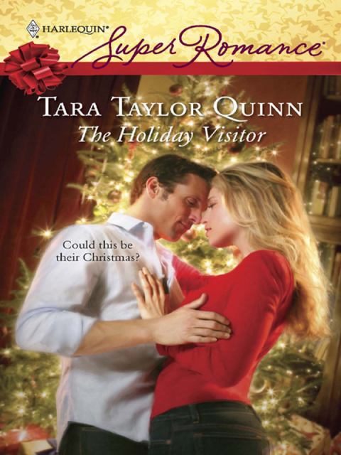 Cover image for book The Holiday Visitor