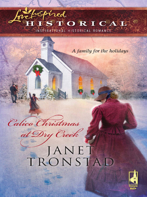 Cover image for book Calico Christmas at Dry Creek