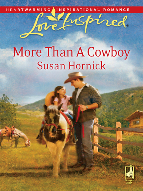 Cover image for book More Than a Cowboy