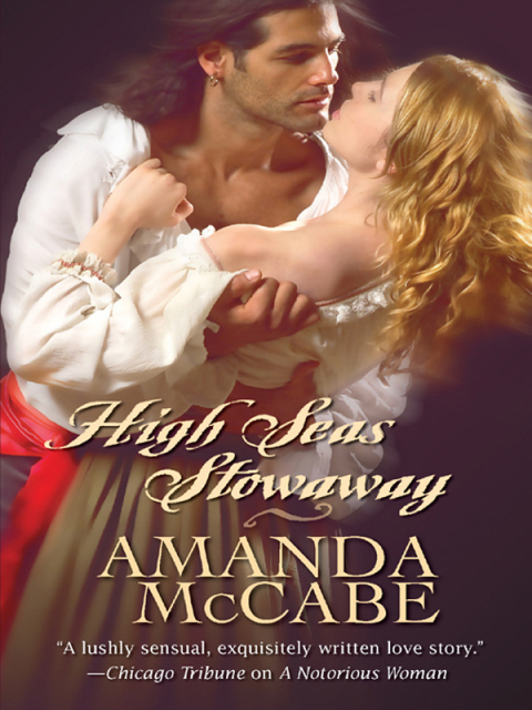 Cover image for book High Seas Stowaway