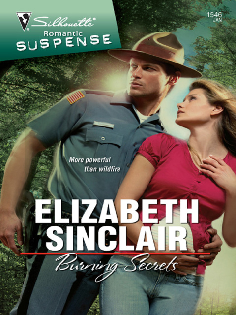 Cover image for book Burning Secrets